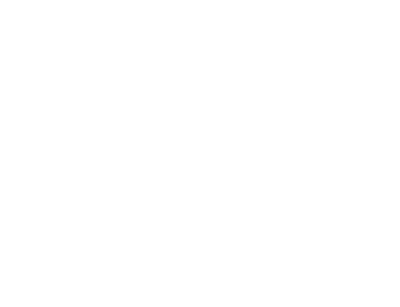 PAHI Logo